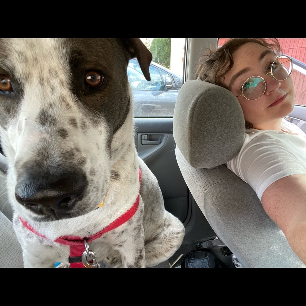 Meet your Posher, Lauren